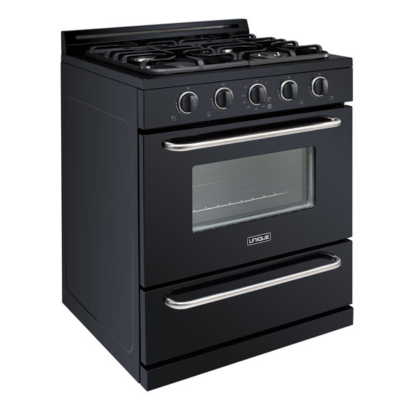 Unique Propane OffGrid 30" 3.9 cu ft. Freestanding Gas Range Wayfair